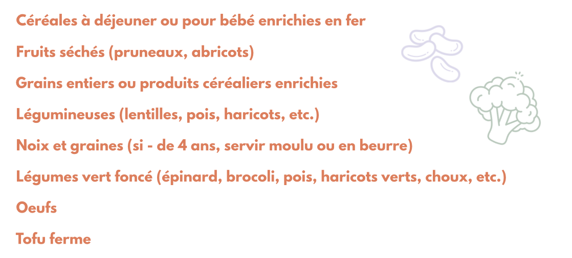 sources de fer non héminique