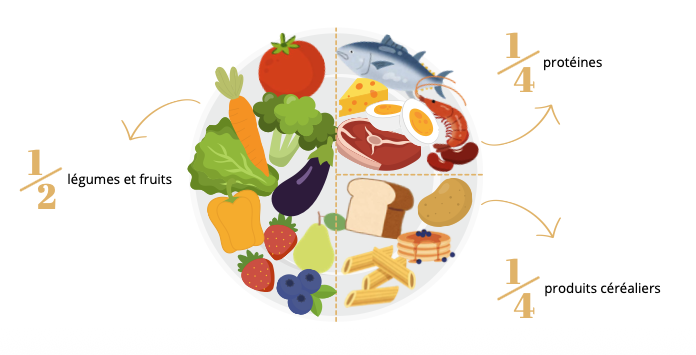 assiette équilibrée